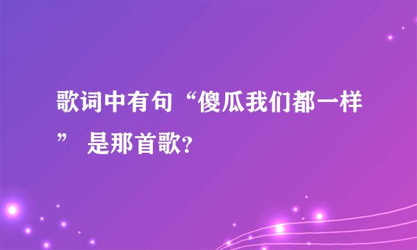 歌词中有句“傻瓜我们都一样” 是那首歌？