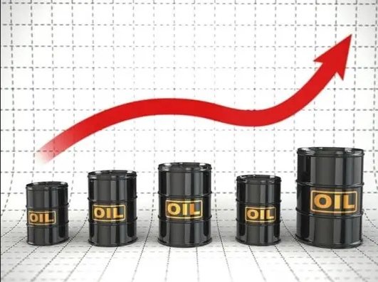 我国是全球最大的油料生产国，五大油料作物有哪些？