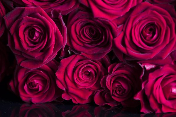 十朵玫瑰花代表什么意思?