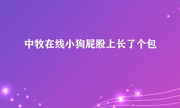 中牧在线小狗屁股上长了个包