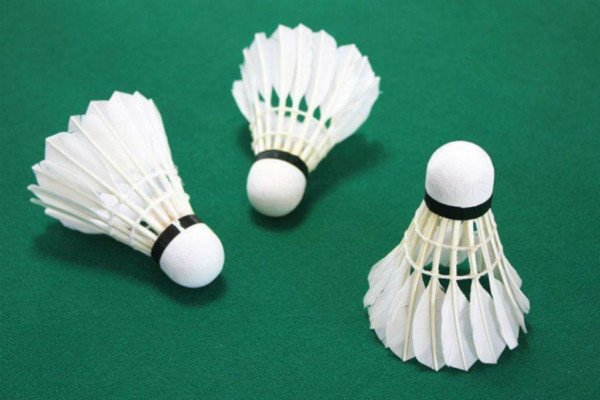 羽毛球上面有多少个羽毛？数量不对对打球有影响吗？