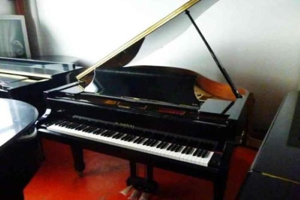 求推荐专业做钢琴回收的