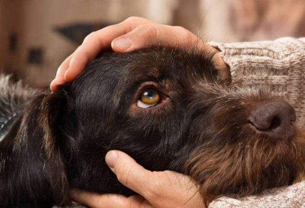 去掉小内被小c触摸