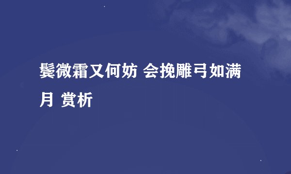 鬓微霜又何妨 会挽雕弓如满月 赏析