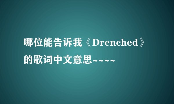 哪位能告诉我《Drenched》的歌词中文意思~~~~