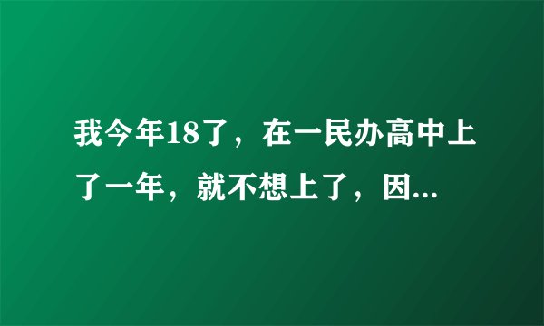 我今年18了，在一民办高中上了一年，就不想上了，因为那学校太垃圾，主要是我自己不想上了，家里都劝我