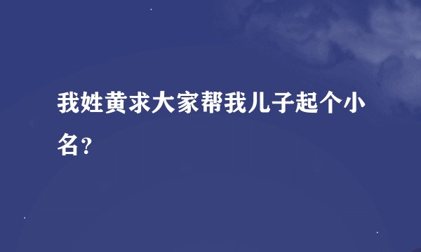我姓黄求大家帮我儿子起个小名？