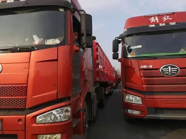 大货车上牌难，花钱找中介一路顺畅！自己上牌到底难在哪儿？