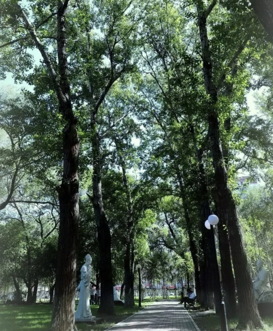 大学生的主要任务是什么？