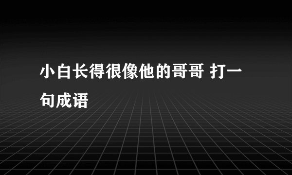 小白长得很像他的哥哥 打一句成语