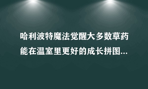 哈利波特魔法觉醒大多数草药能在温室里更好的成长拼图碎片位置一览