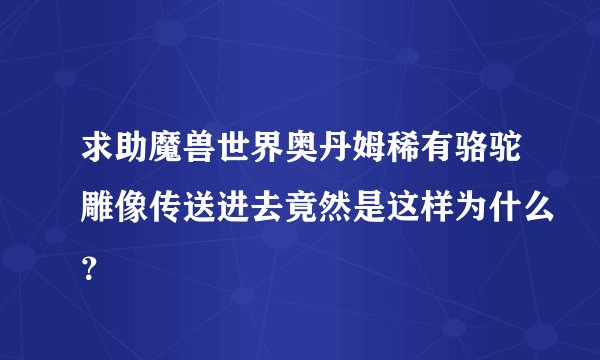 求助魔兽世界奥丹姆稀有骆驼雕像传送进去竟然是这样为什么？
