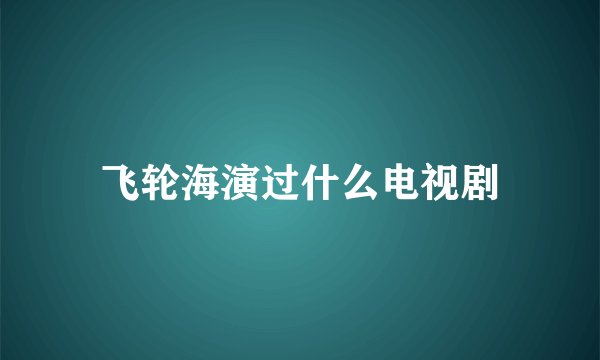飞轮海演过什么电视剧