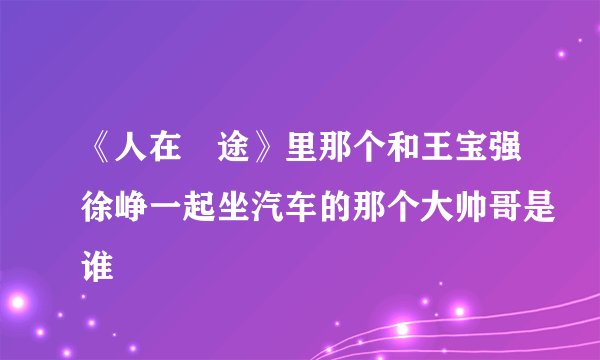 《人在囧途》里那个和王宝强徐峥一起坐汽车的那个大帅哥是谁