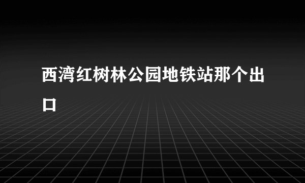 西湾红树林公园地铁站那个出口