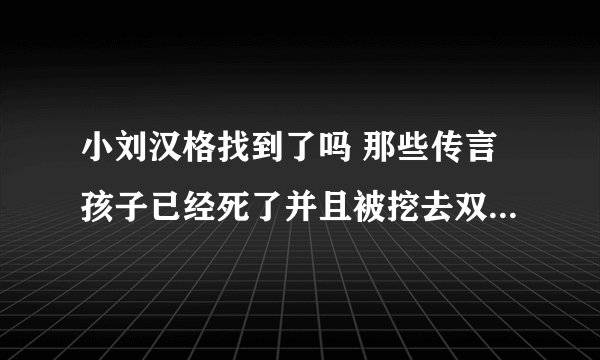 小刘汉格找到了吗 那些传言孩子已经死了并且被挖去双眼的消息是真的吗 有知道的帮忙说下