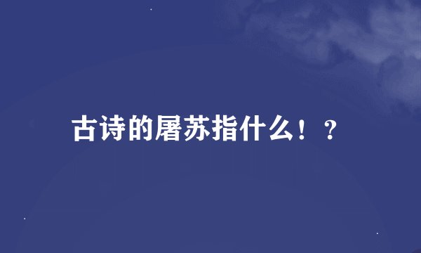 古诗的屠苏指什么！？