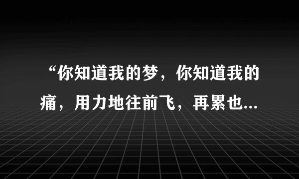 “你知道我的梦，你知道我的痛，用力地往前飞，再累也无所谓”是哪首歌里面的，拜托各位了