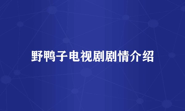 野鸭子电视剧剧情介绍