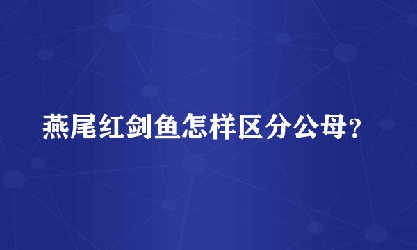 燕尾红剑鱼怎样区分公母？