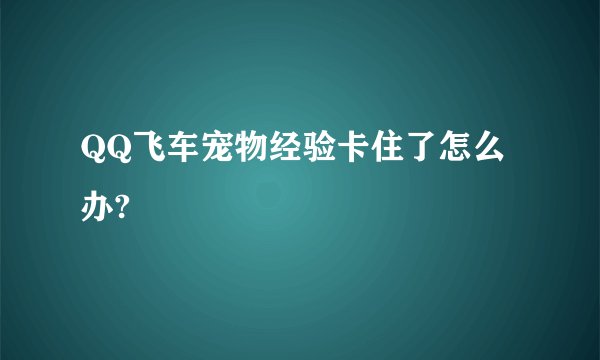 QQ飞车宠物经验卡住了怎么办?
