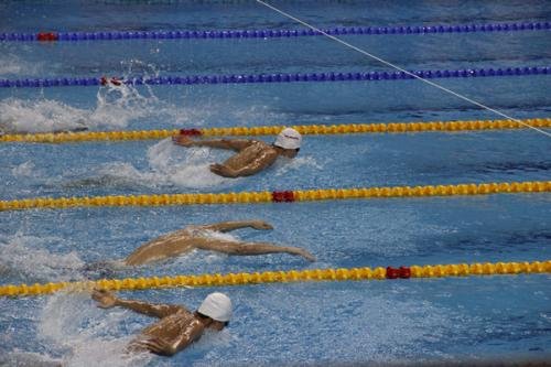 叶诗文竟然无缘2020全国游泳锦标赛，发生了什么事情？