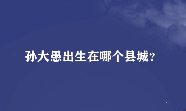 孙大愚出生在哪个县城？