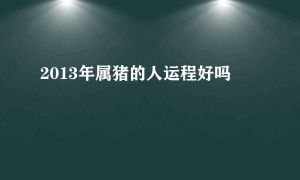 2013年属猪的人运程好吗