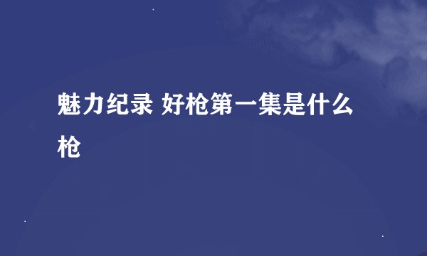 魅力纪录 好枪第一集是什么枪