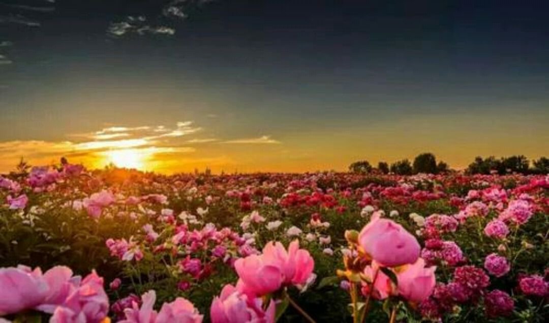 相见时难别亦难下一句