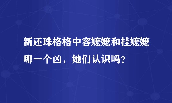 新还珠格格中容嬷嬷和桂嬷嬷哪一个凶，她们认识吗？