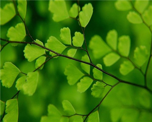 有谁知道本港报码是什么？