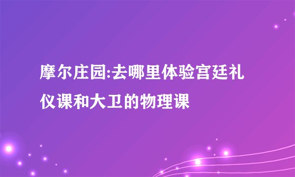 摩尔庄园:去哪里体验宫廷礼仪课和大卫的物理课