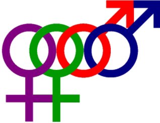 les中t和p分别是什么意思？