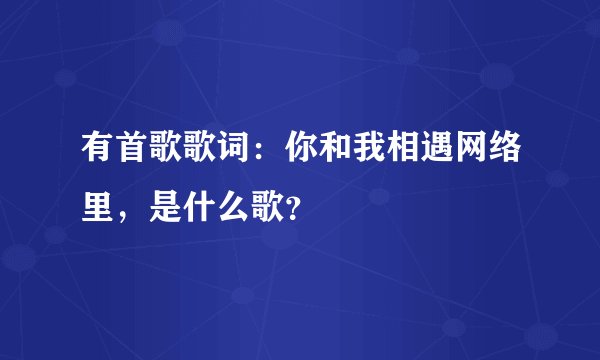 有首歌歌词：你和我相遇网络里，是什么歌？