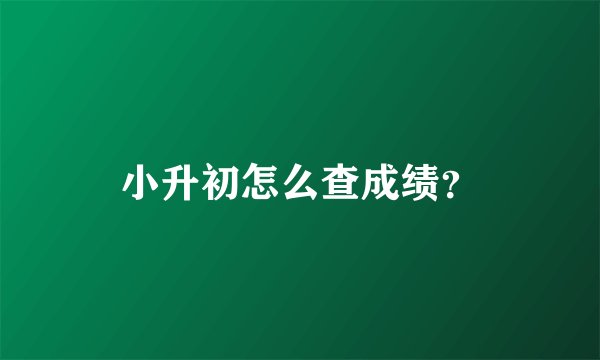 小升初怎么查成绩？