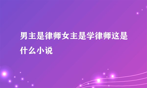 男主是律师女主是学律师这是什么小说