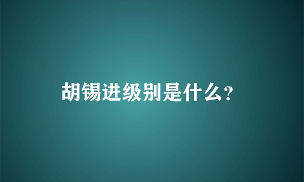 胡锡进级别是什么？