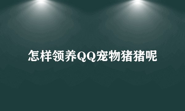 怎样领养QQ宠物猪猪呢