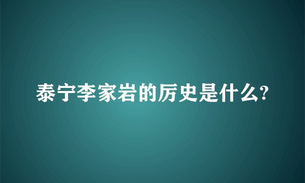 泰宁李家岩的厉史是什么?