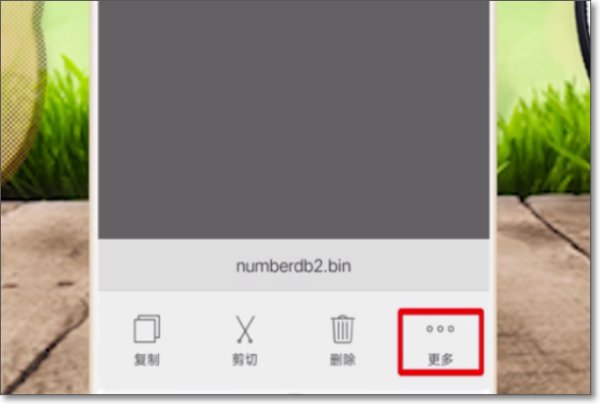 怎样用手机打开. bin文件