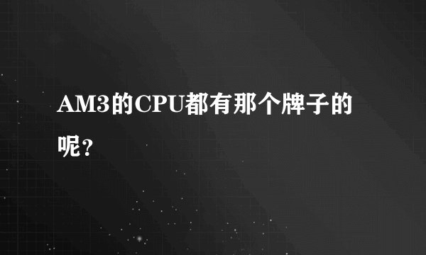 AM3的CPU都有那个牌子的呢？