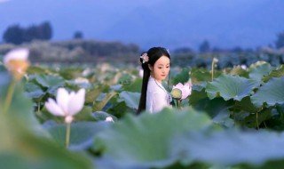 采莲曲歌词 采莲曲歌词全文