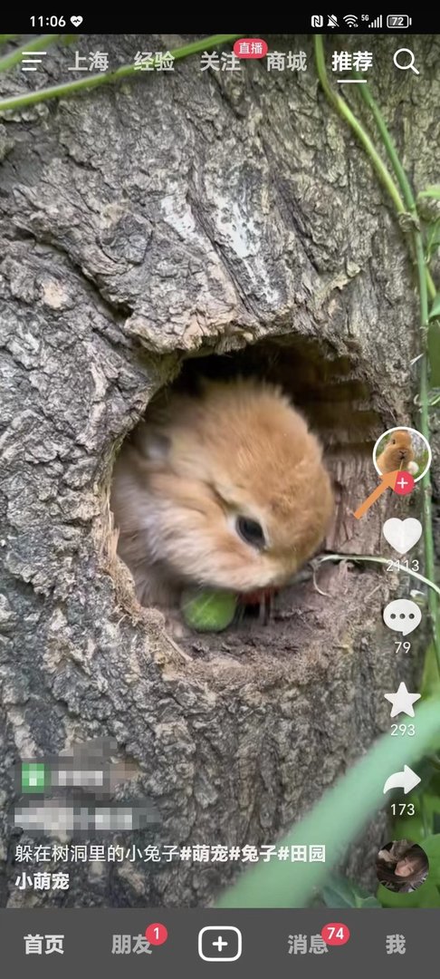 抖音怎么看别人的ip属地