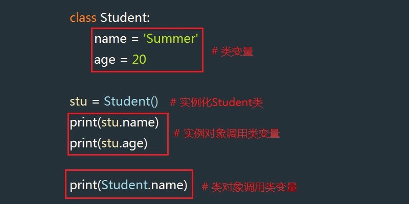 如何区分数值变量和分类变量？