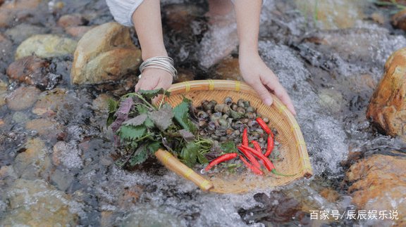 《非诚勿扰》的豪门千金骆琦，为什么“放弃”家产活成了李子柒？