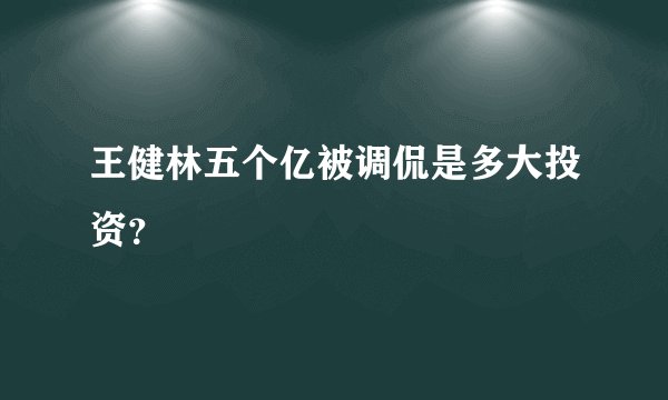 王健林五个亿被调侃是多大投资？