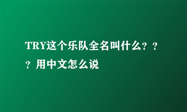 TRY这个乐队全名叫什么？？？用中文怎么说