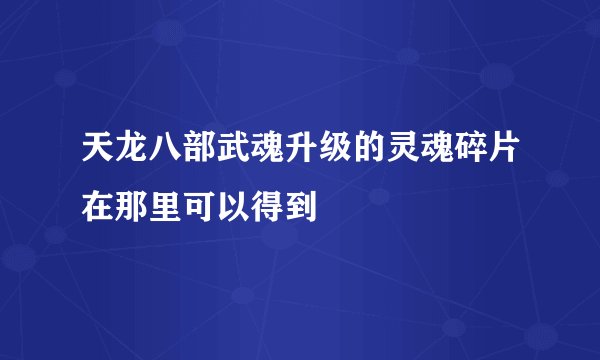 天龙八部武魂升级的灵魂碎片在那里可以得到