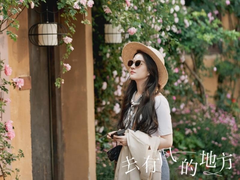 去有风的地方在哪个卫视播放